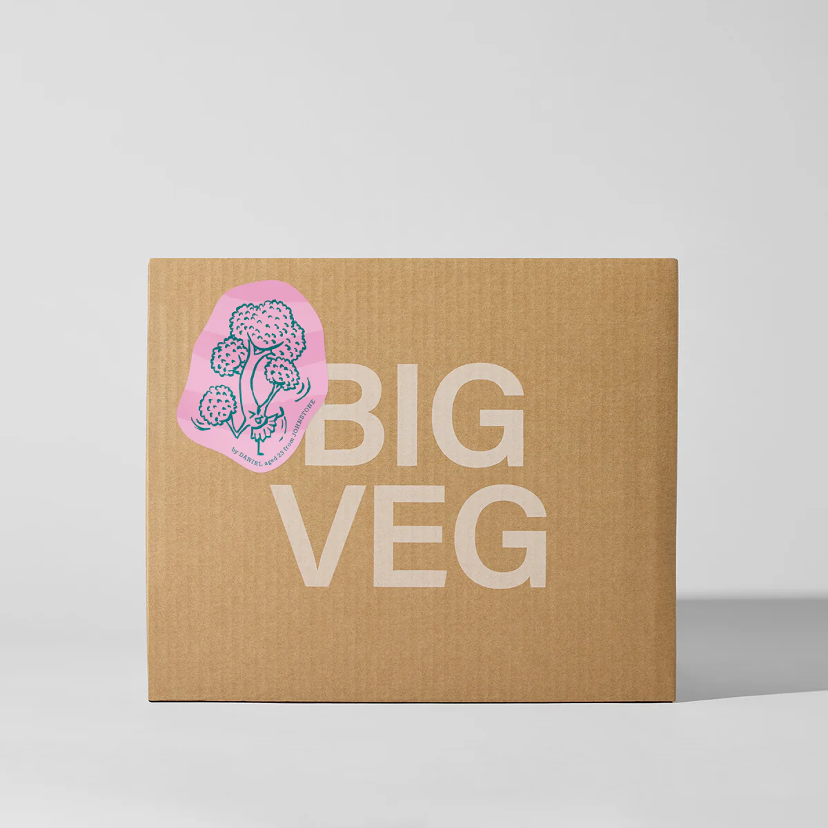 BIG VEG BOXES